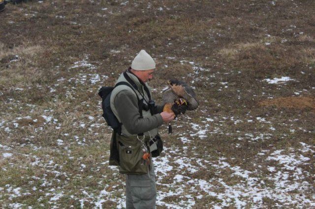 Téli Napforduló ünnepe