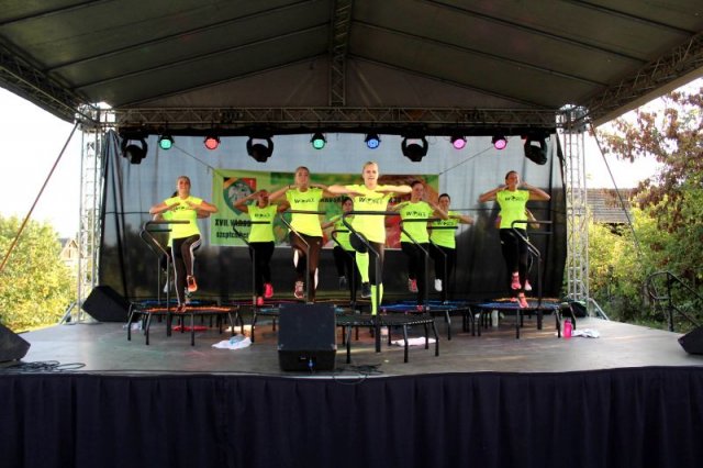 A XVII. Városnap és XV. Almafesztivál képekben