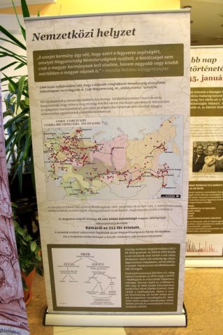 "Nemsokára hazamentek"