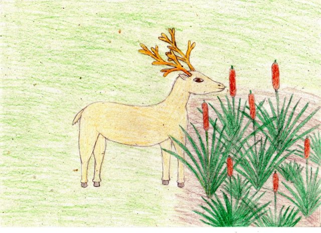 Sági Viktória 6.a 13 éves